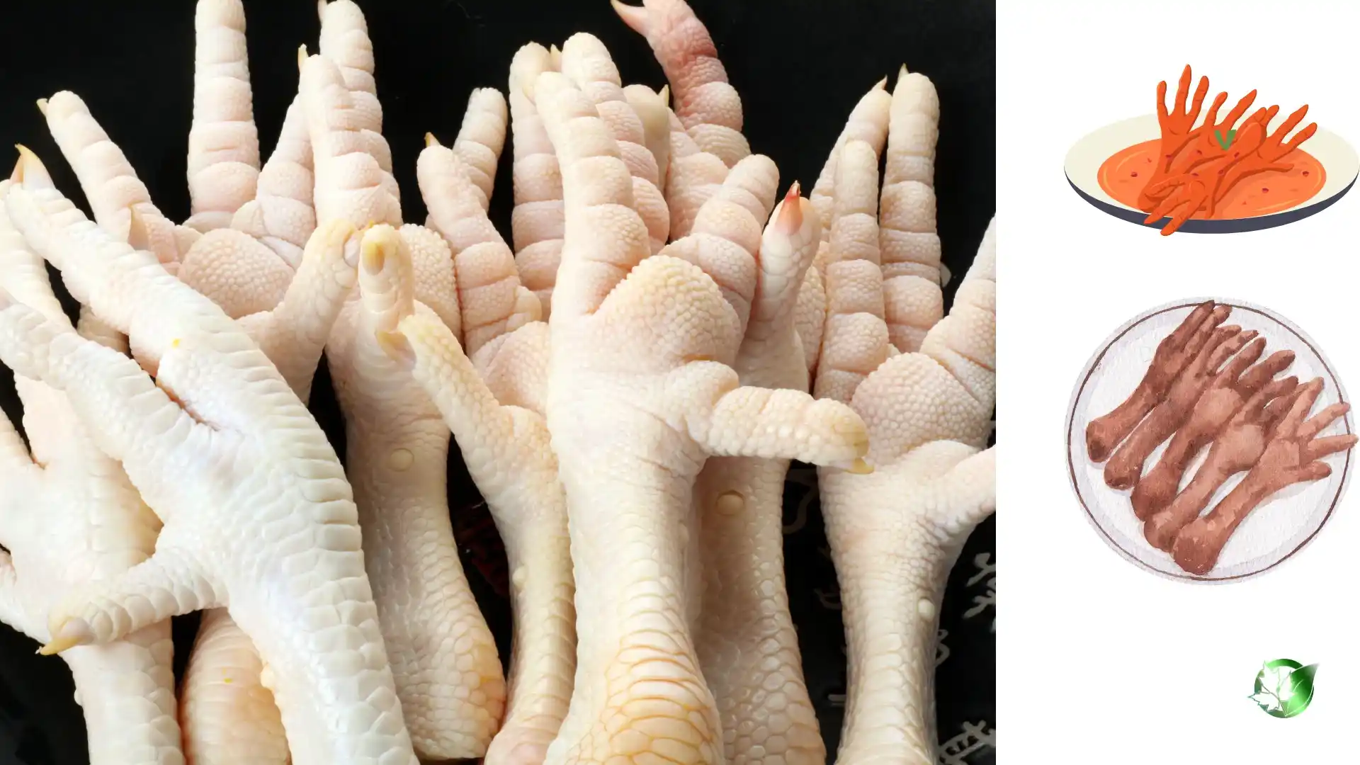 Wholesale packaging for Chicken Paws can be planned for store-based sales, hospitality supply, store-brand, or industrial-scale distribution.